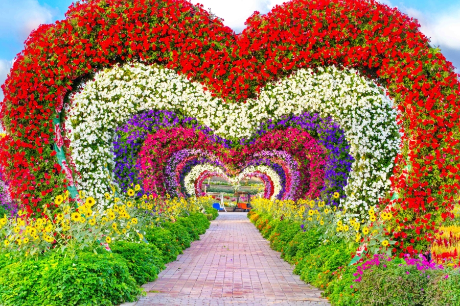 be4dcb43a3fb96386a8337be12e05c35-dubai miracle garden