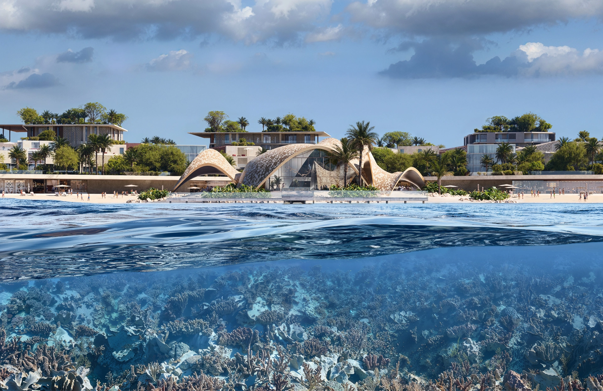 coral bay213
